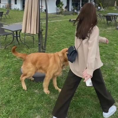 新儿女英雄传