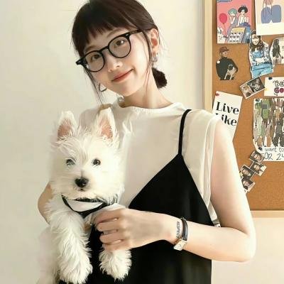 达·芬奇的恶魔第二季